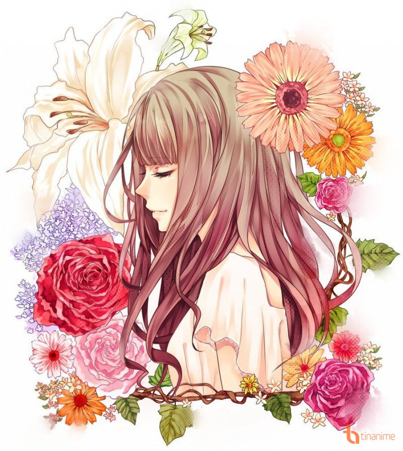 Hoa Cẩm Tú Cầu anime đẹp ngất ngây trong hình ảnh