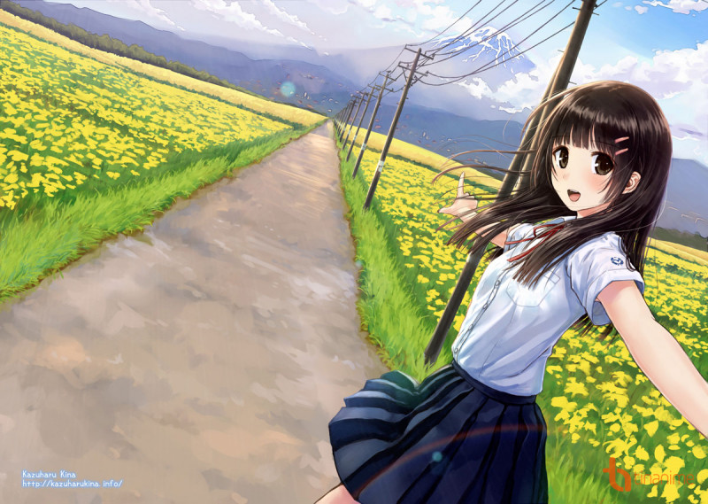 Kết quả hình ảnh cho anime cánh đồng lúa