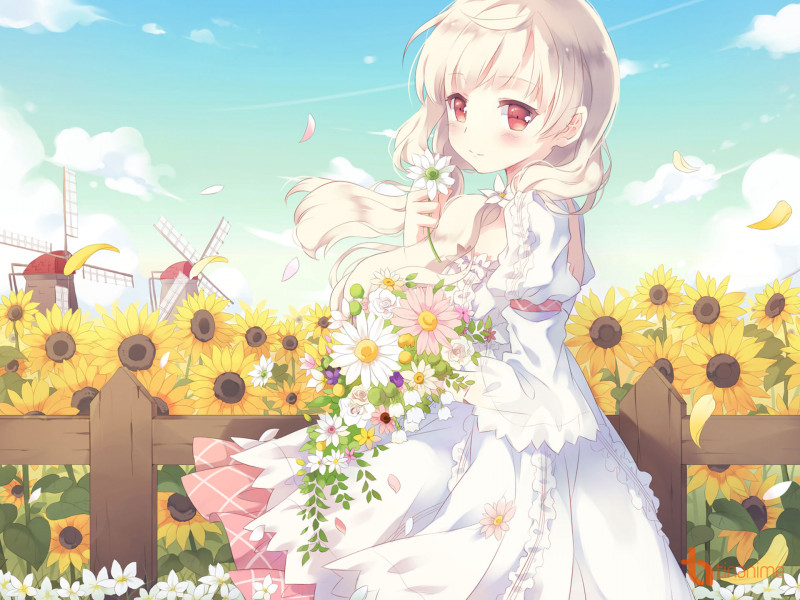 Kết quả hình ảnh cho anime trên cánh đồng hoa